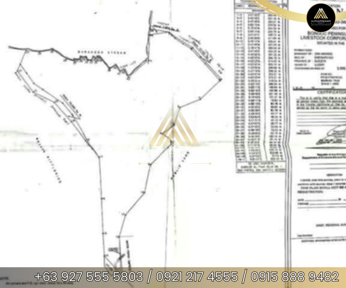 Lot for Sale in Quezon, photo 7