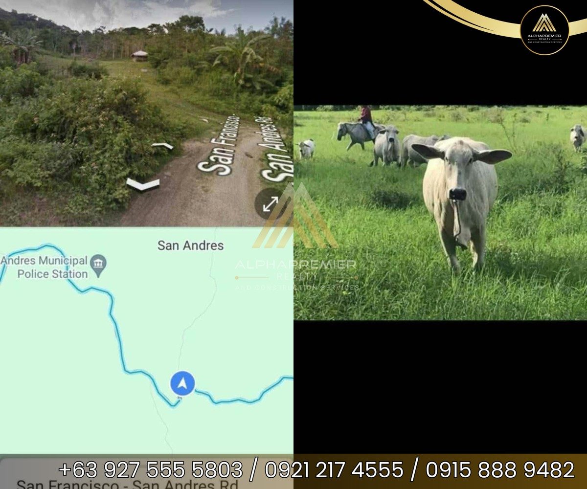 Lot for Sale in Quezon, photo 6