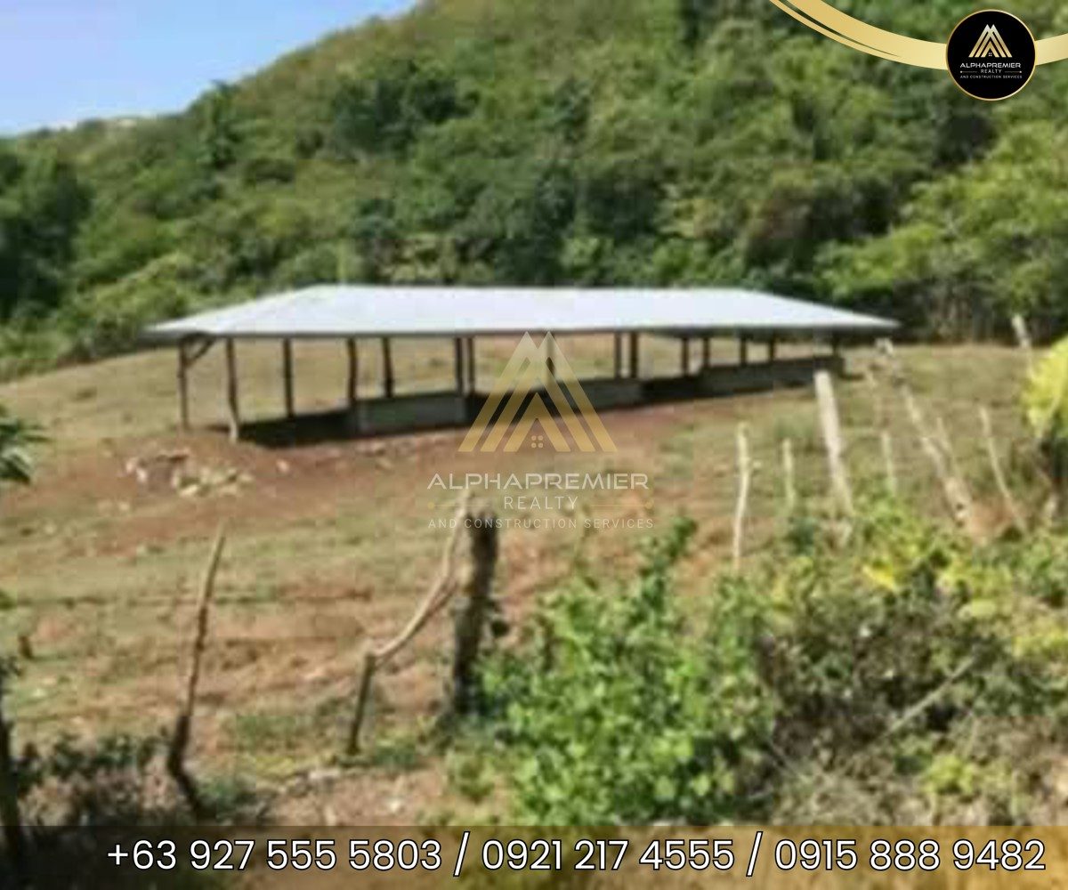 Lot for Sale in Quezon, photo 5