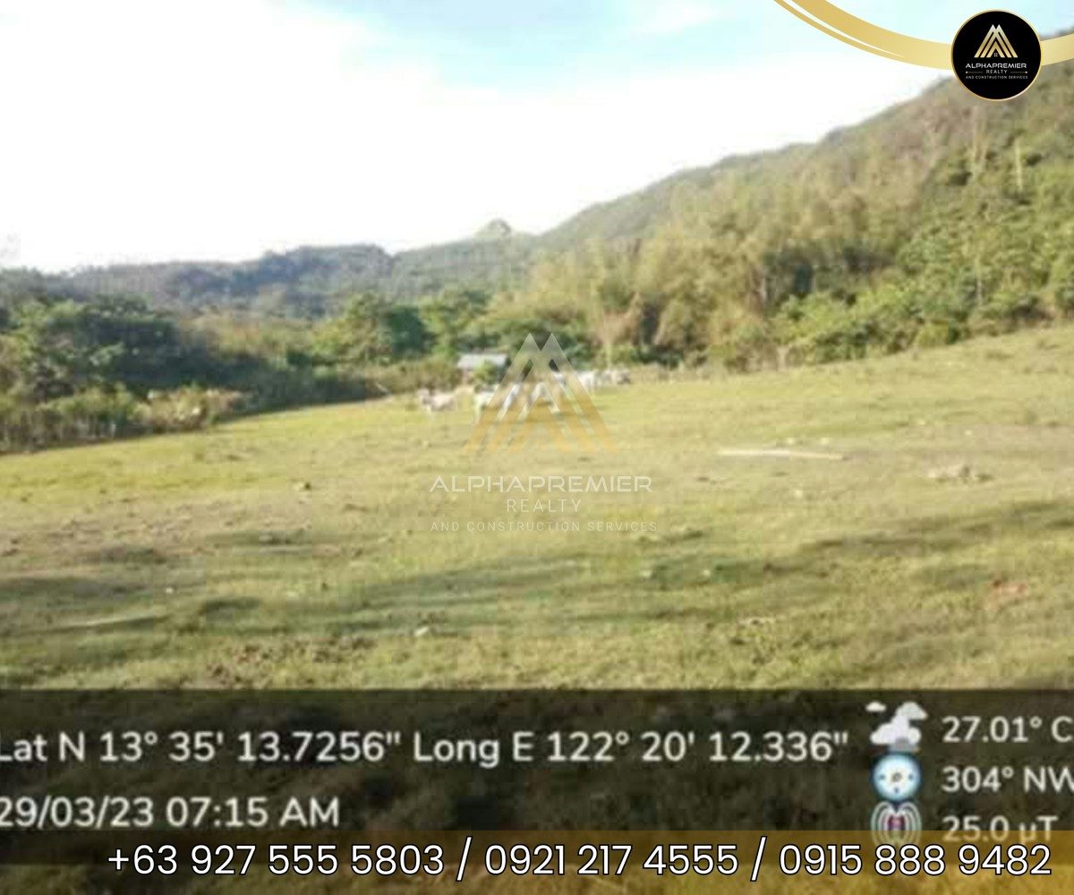 Lot for Sale in Quezon, photo 8