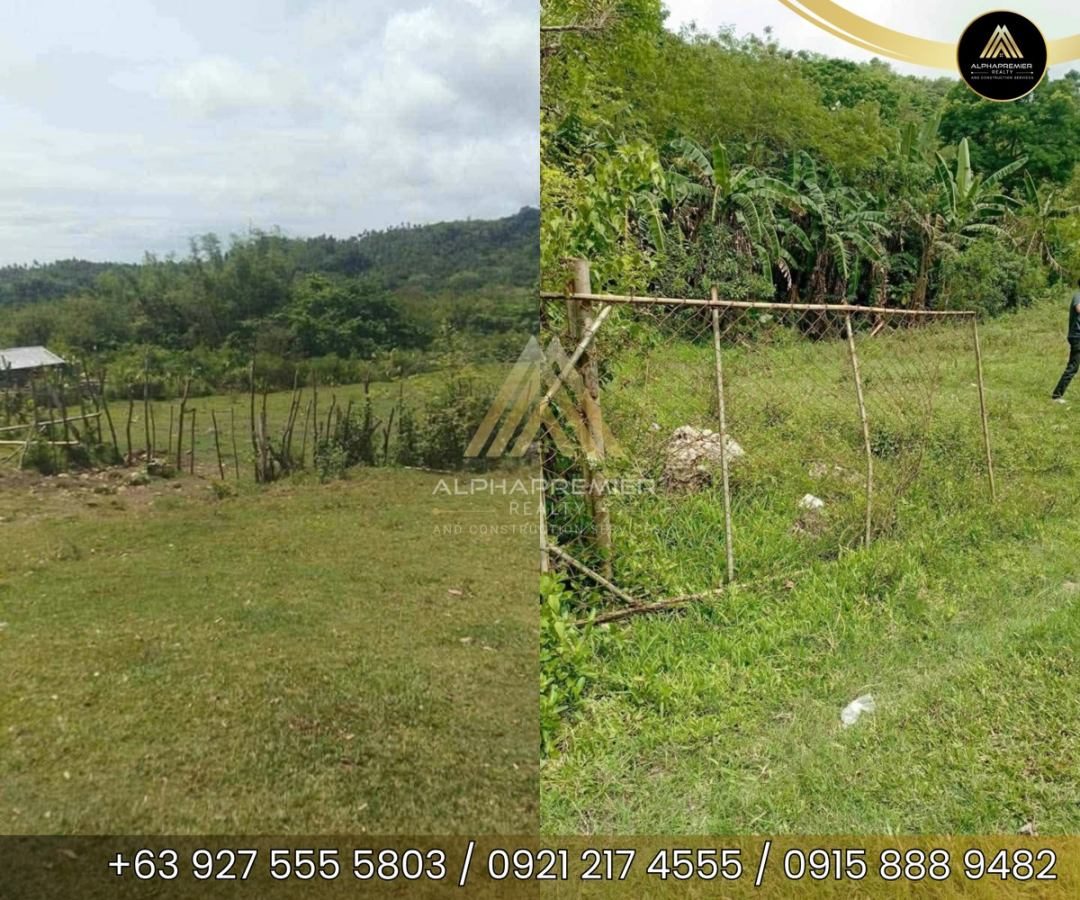 Lot for Sale in Quezon, photo 2
