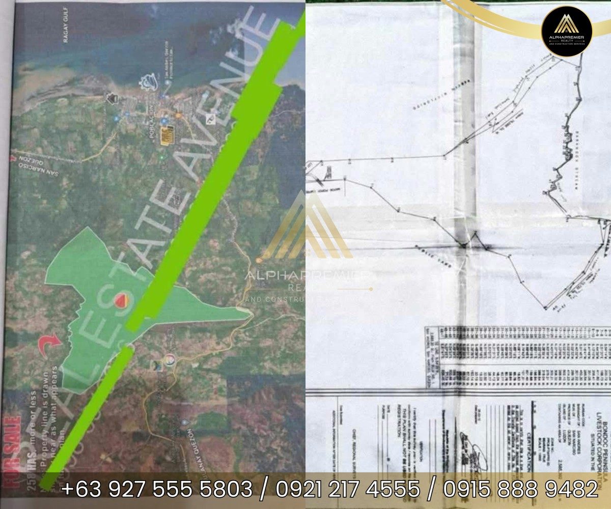 Lot for Sale in Quezon, photo 9