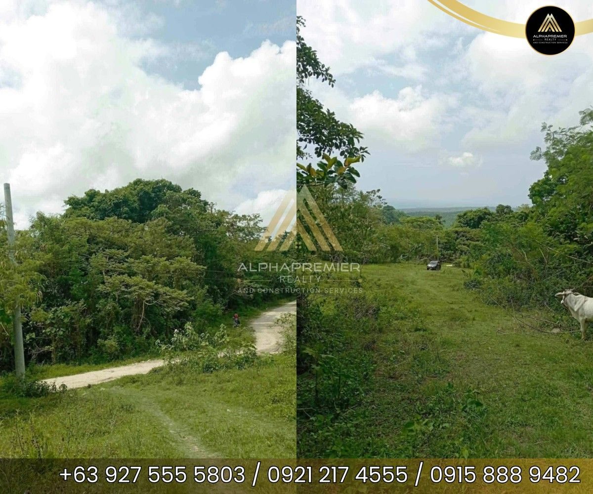 Lot for Sale in Quezon, photo 1