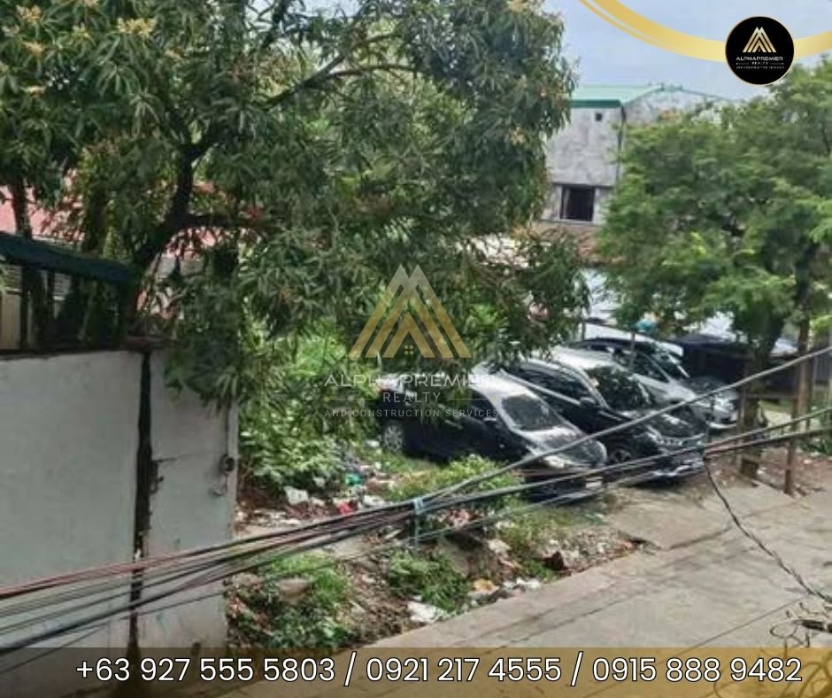 Lot for Sale in Rizal, photo 1