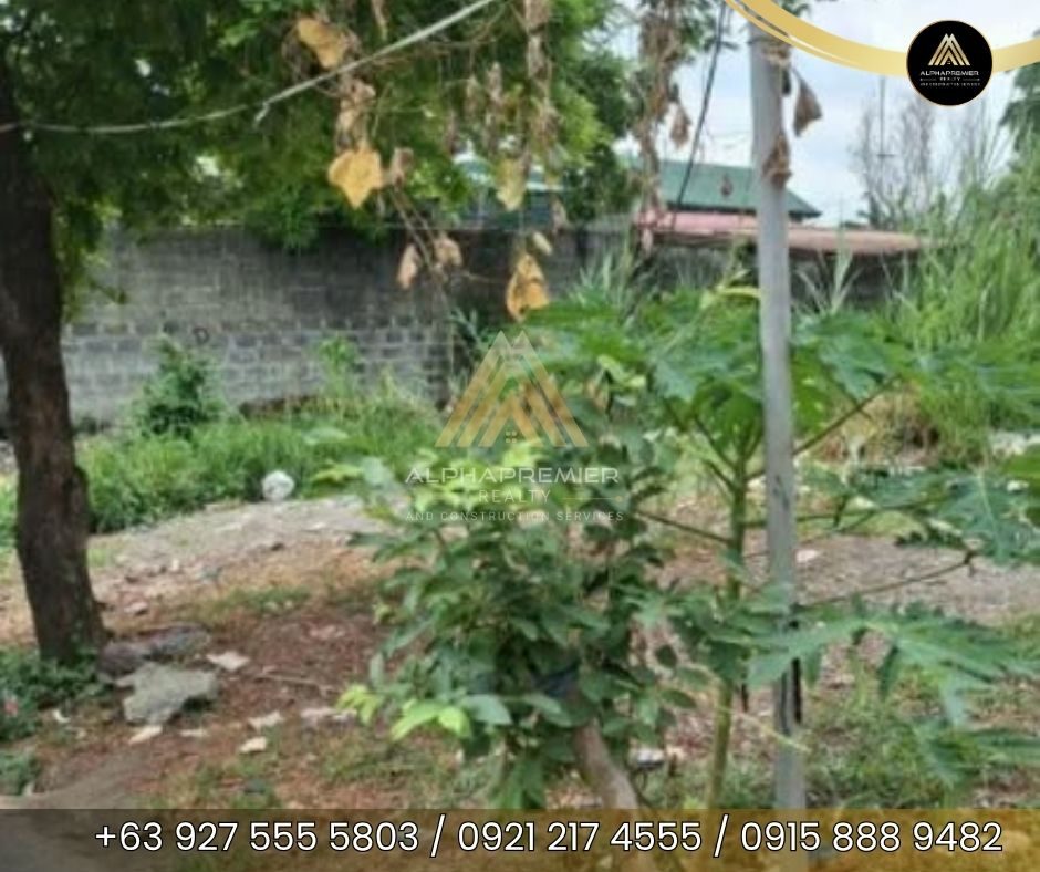 Lot for Sale in Rizal, photo 2