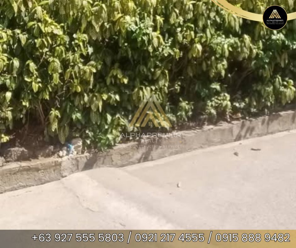 Lot for Sale in Rizal, photo 6