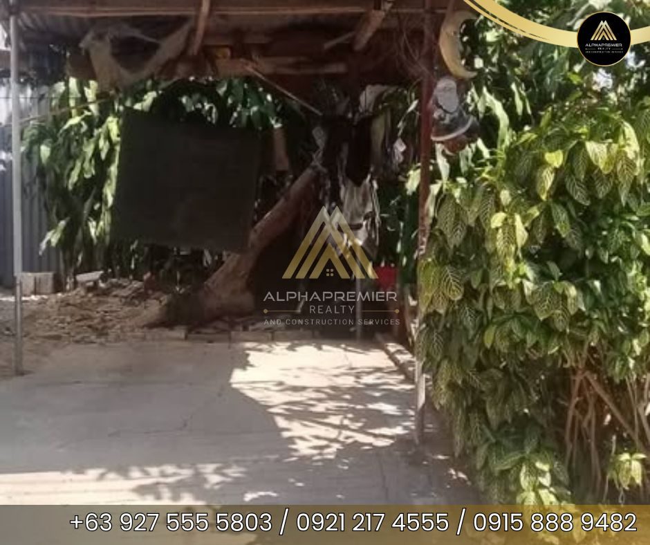 Lot for Sale in Rizal, photo 5