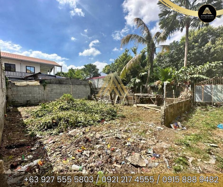 Lot for Sale in Bulacan, photo 3