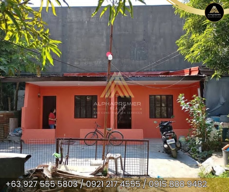 Lot for Sale in Valenzuela, photo 4