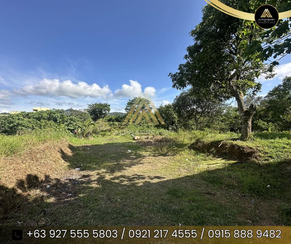 Lot for Sale in Cavite, photo 7