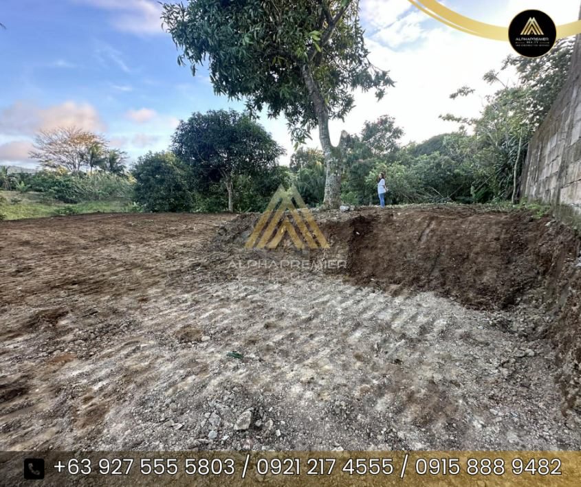 Lot for Sale in Cavite, photo 4