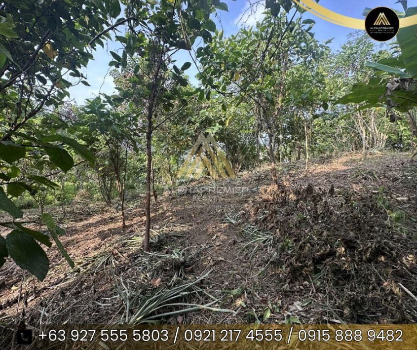 Lot for Sale in Cavite, photo 9