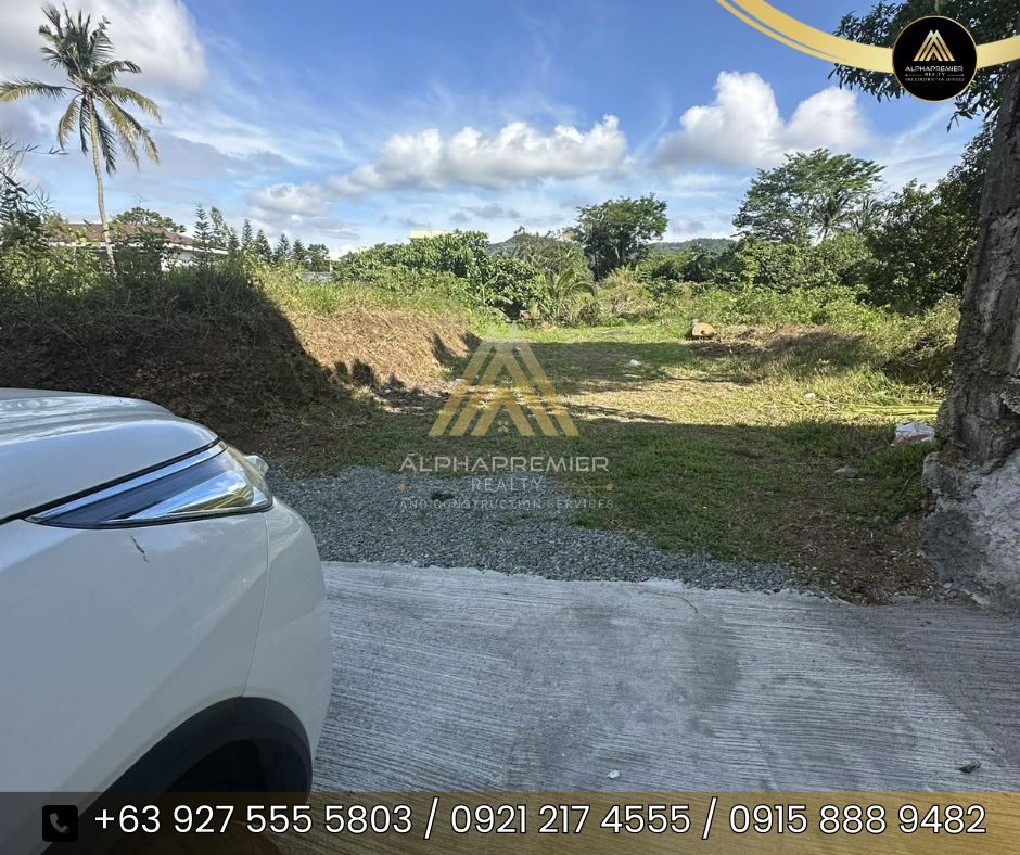 Lot for Sale in Cavite, photo 6