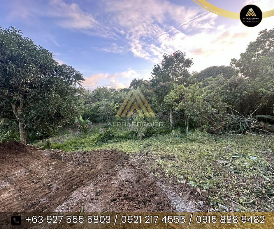 Lot for Sale in Cavite, photo 5