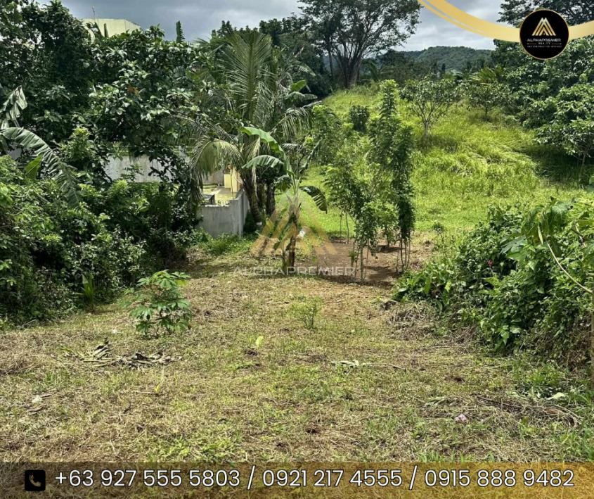 Lot for Sale in Cavite, photo 8