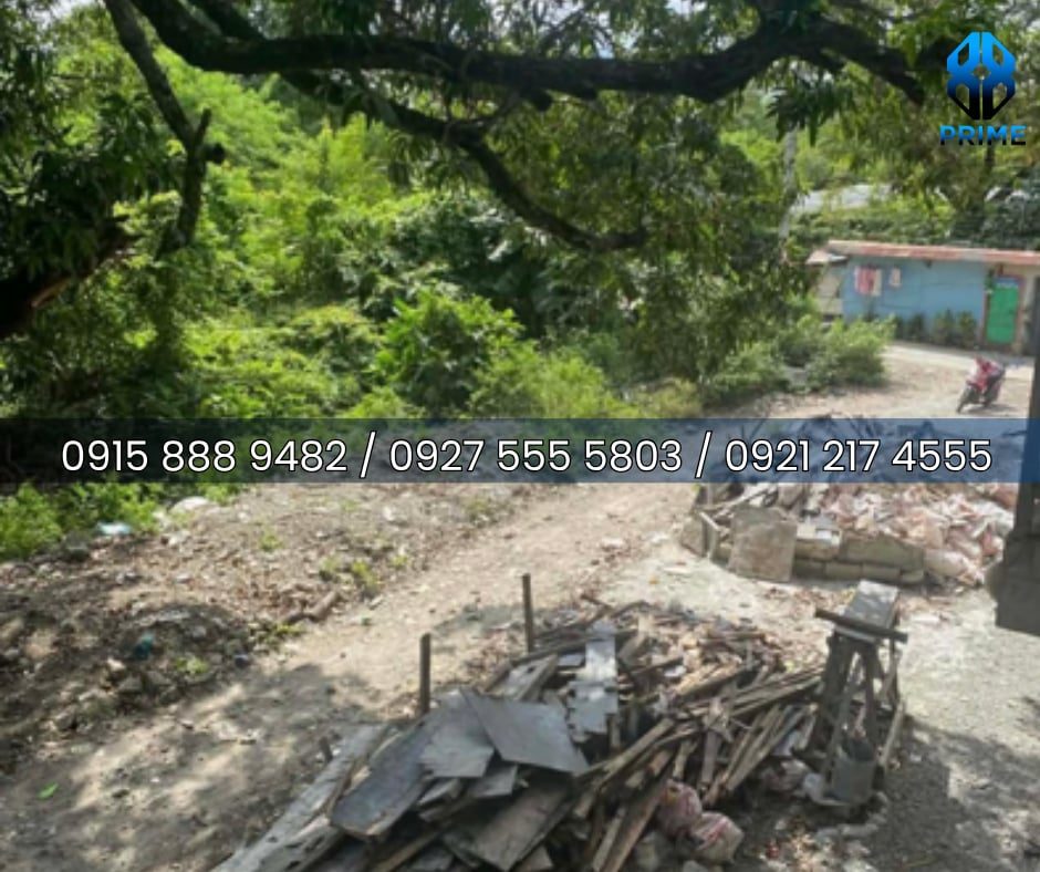 Lot for Lease in Cavite, photo 4