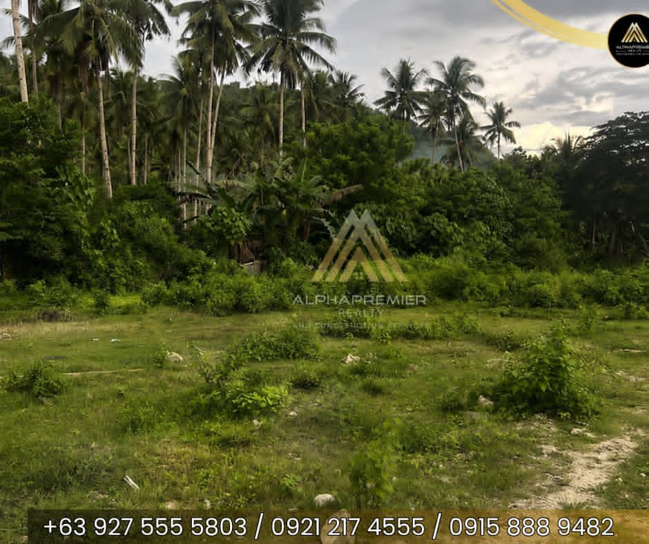 Lot for Lease in Iligan City, photo 1