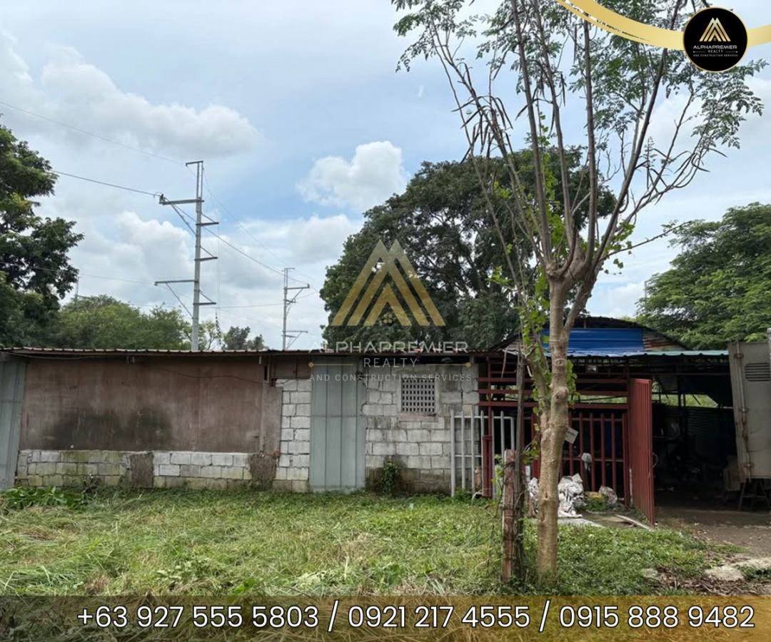 Commercial Space for Lease in Laguna, photo 2