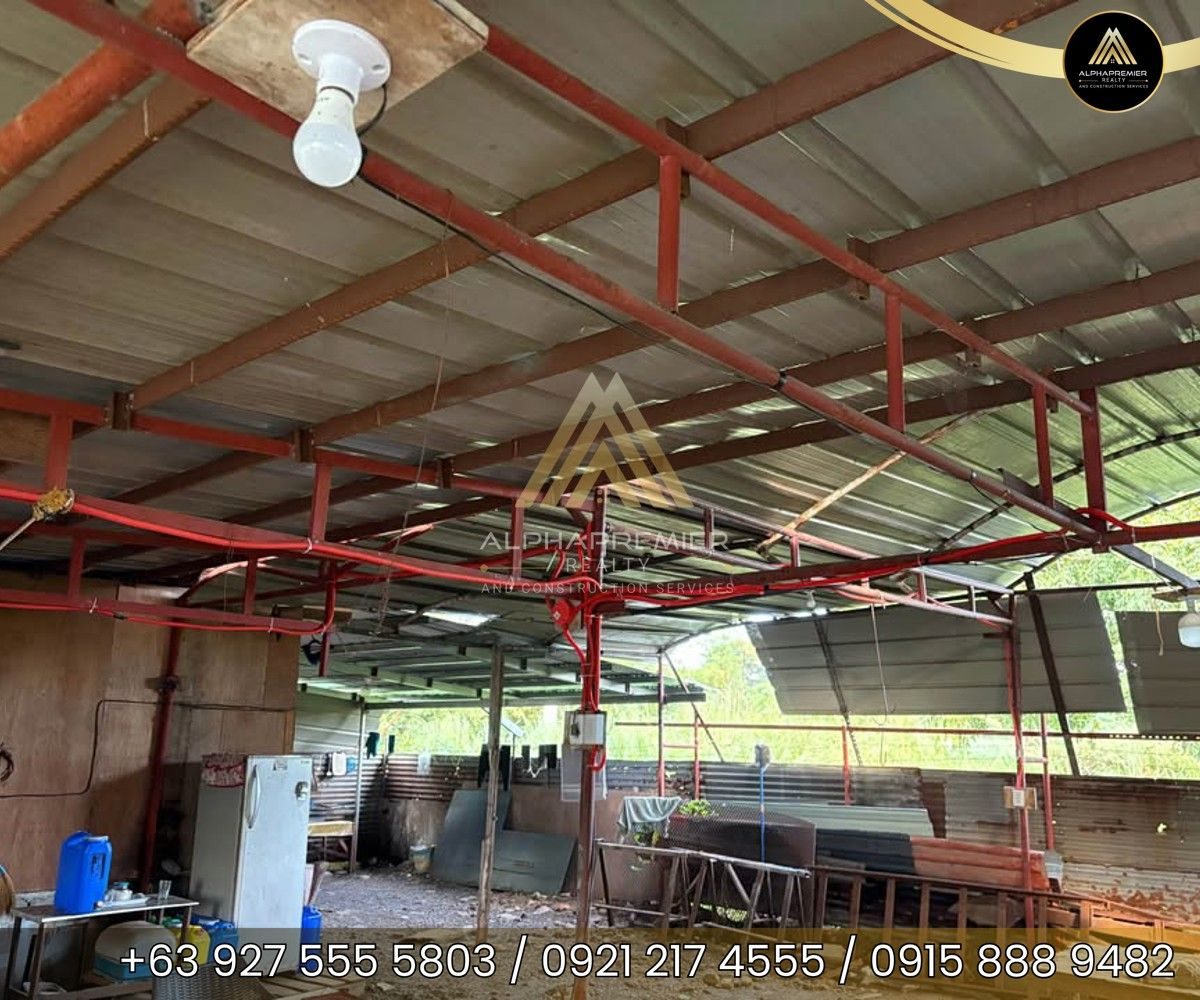 Commercial Space for Lease in Laguna, photo 3