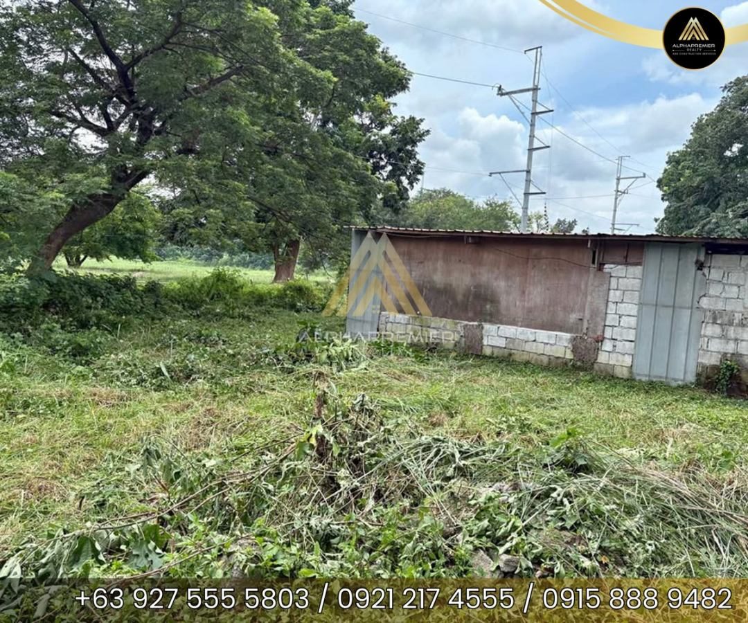Commercial Space for Lease in Laguna, photo 1