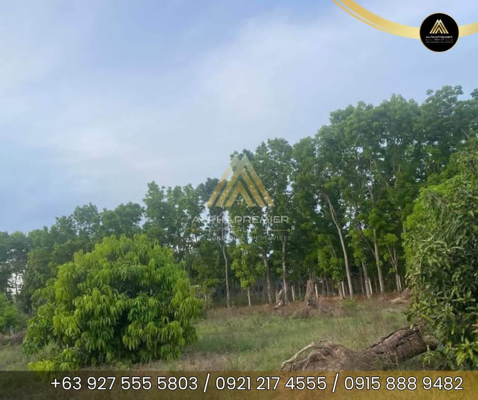 Lot for Sale in San Ildefonso, photo 7
