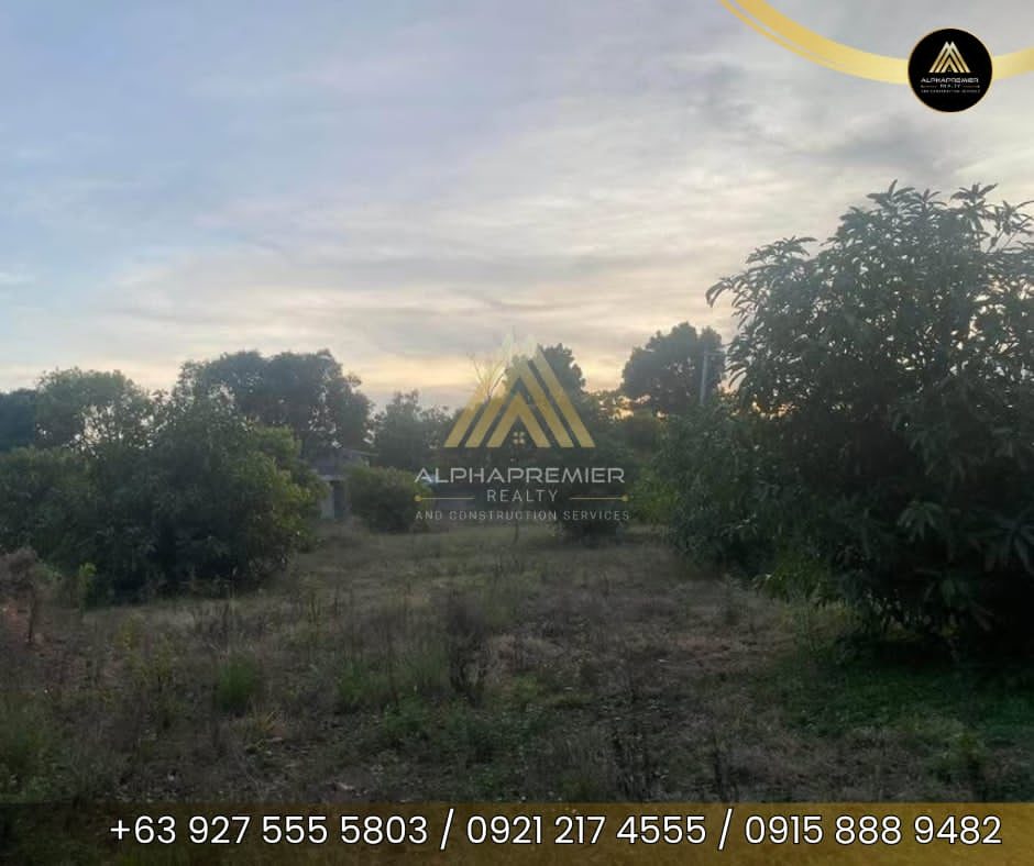Lot for Sale in San Ildefonso, photo 5