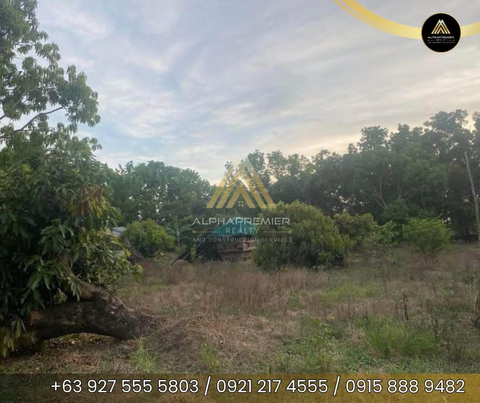 Lot for Sale in San Ildefonso, photo 8