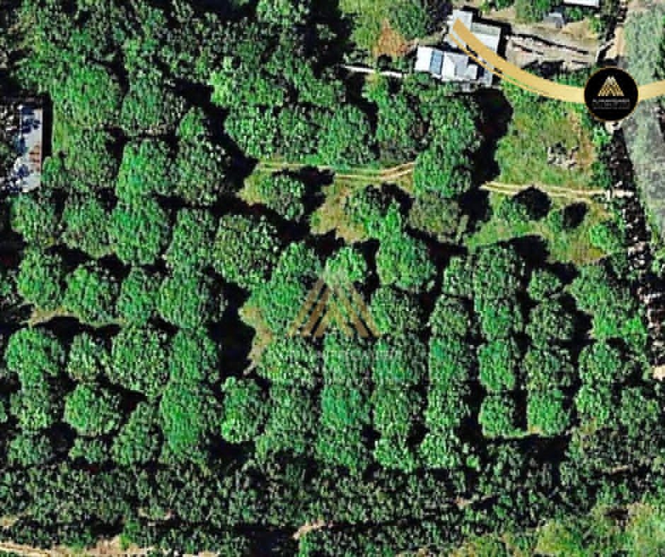 Lot for Sale in San Ildefonso, photo 1