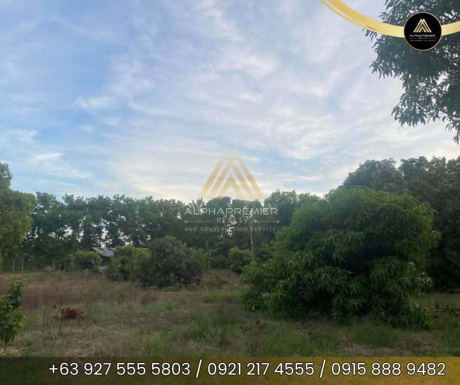 Lot for Sale in San Ildefonso, photo 6