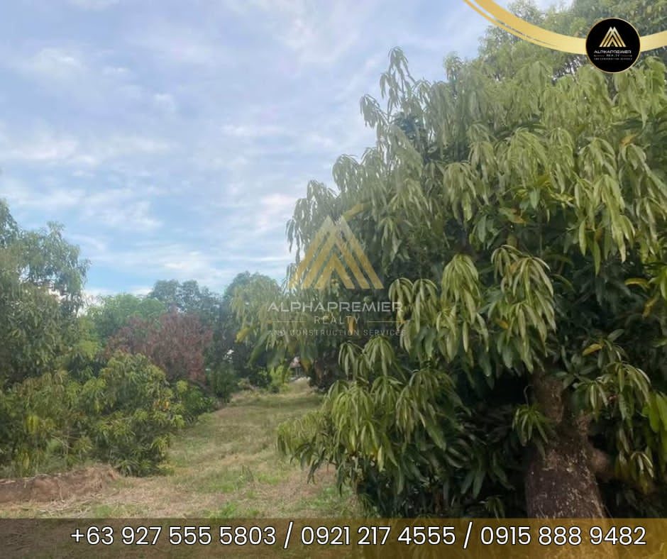 Lot for Sale in San Ildefonso, photo 9