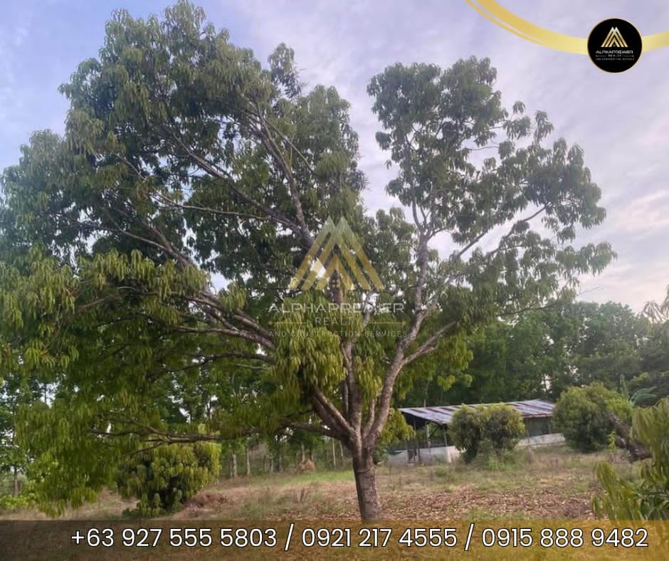 Lot for Sale in San Ildefonso, photo 3