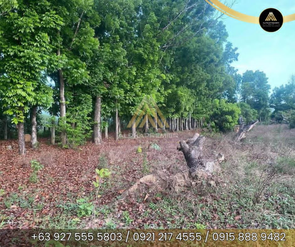 Lot for Sale in San Ildefonso, photo 4