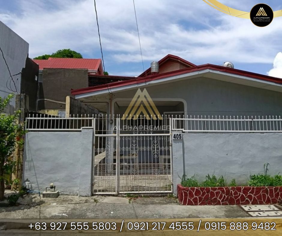 Lot for Sale in Las Piñas, photo 4