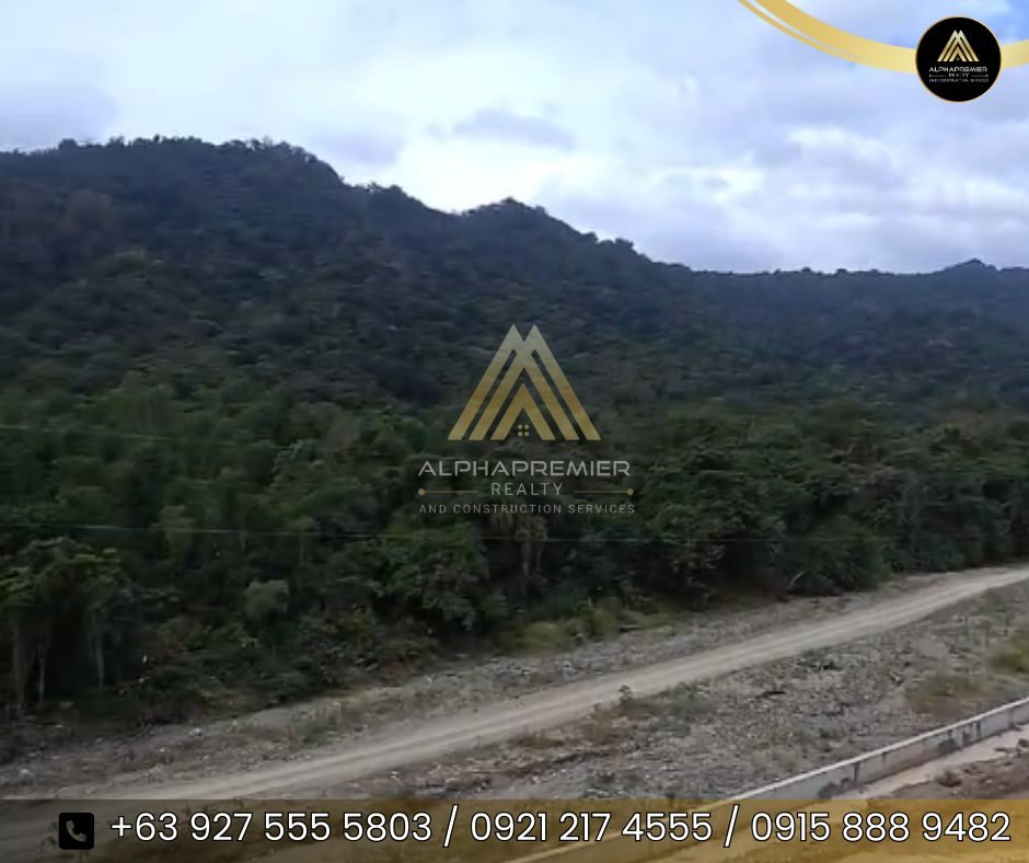 Lot for Sale in Batangas, photo 2