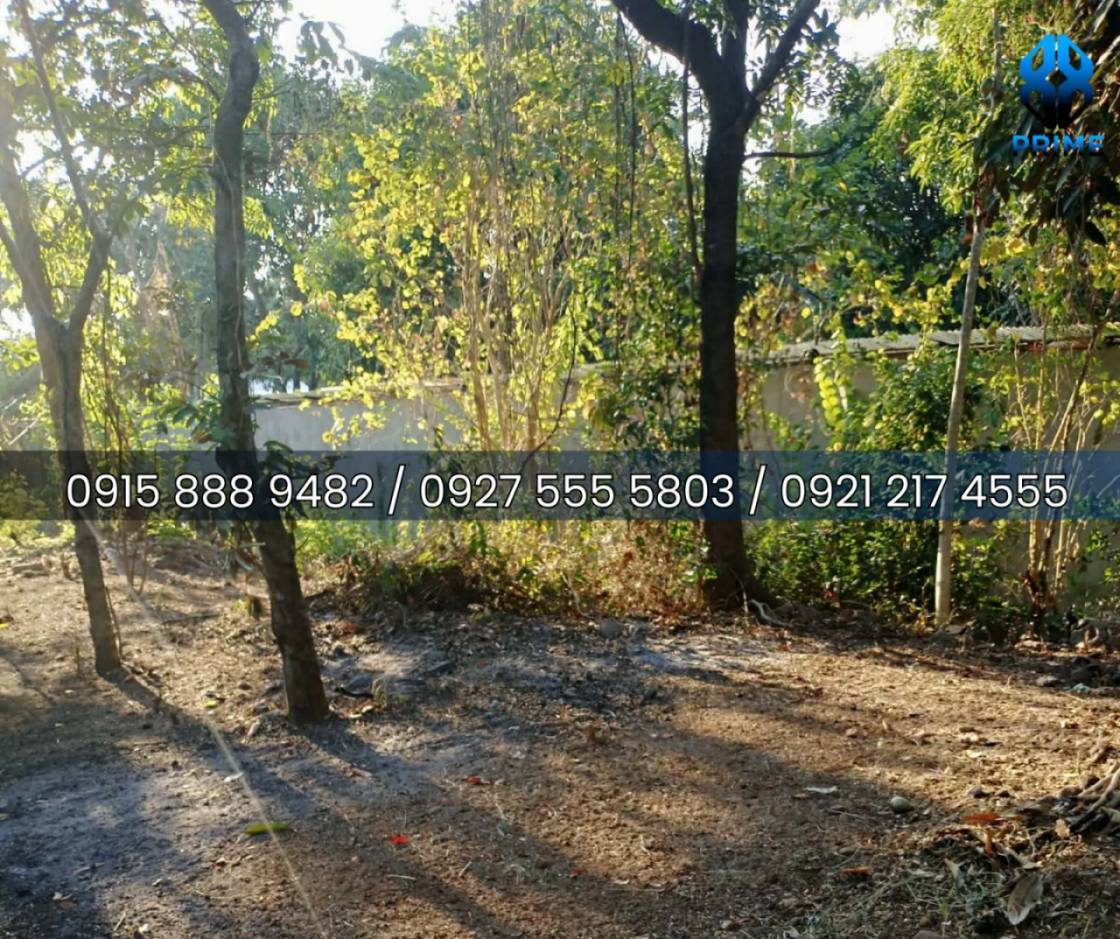 Lot for Sale in Binangonan, photo 2