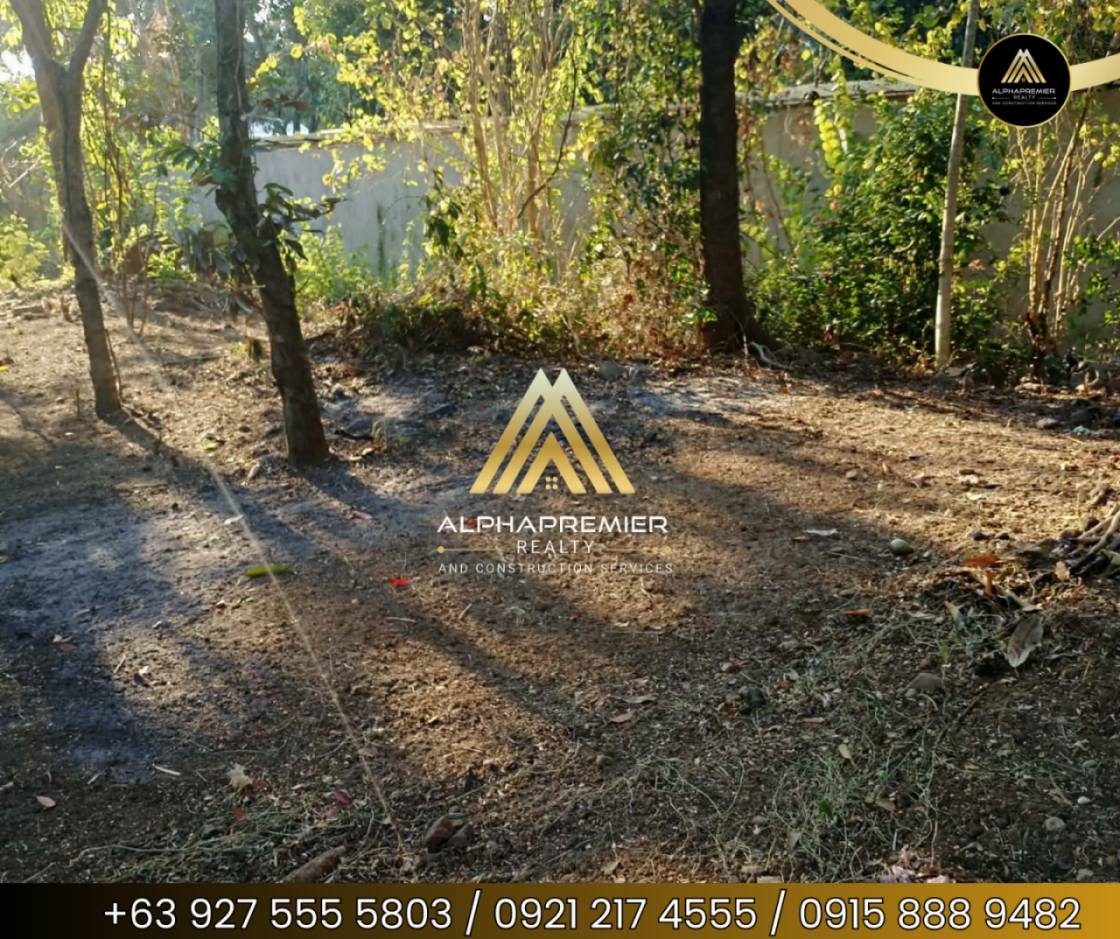 Lot for Sale in Binangonan, photo 3