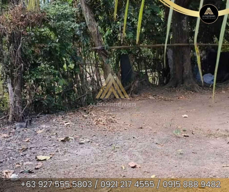 Lot for Sale in Laguna, photo 3