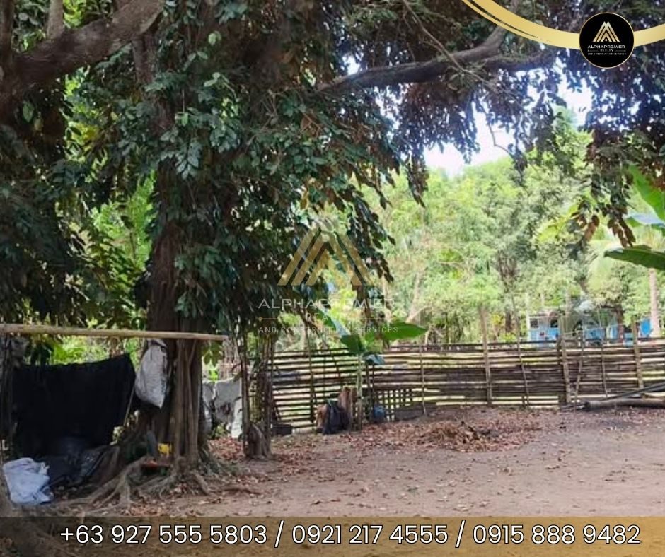 Lot for Sale in Laguna, photo 4