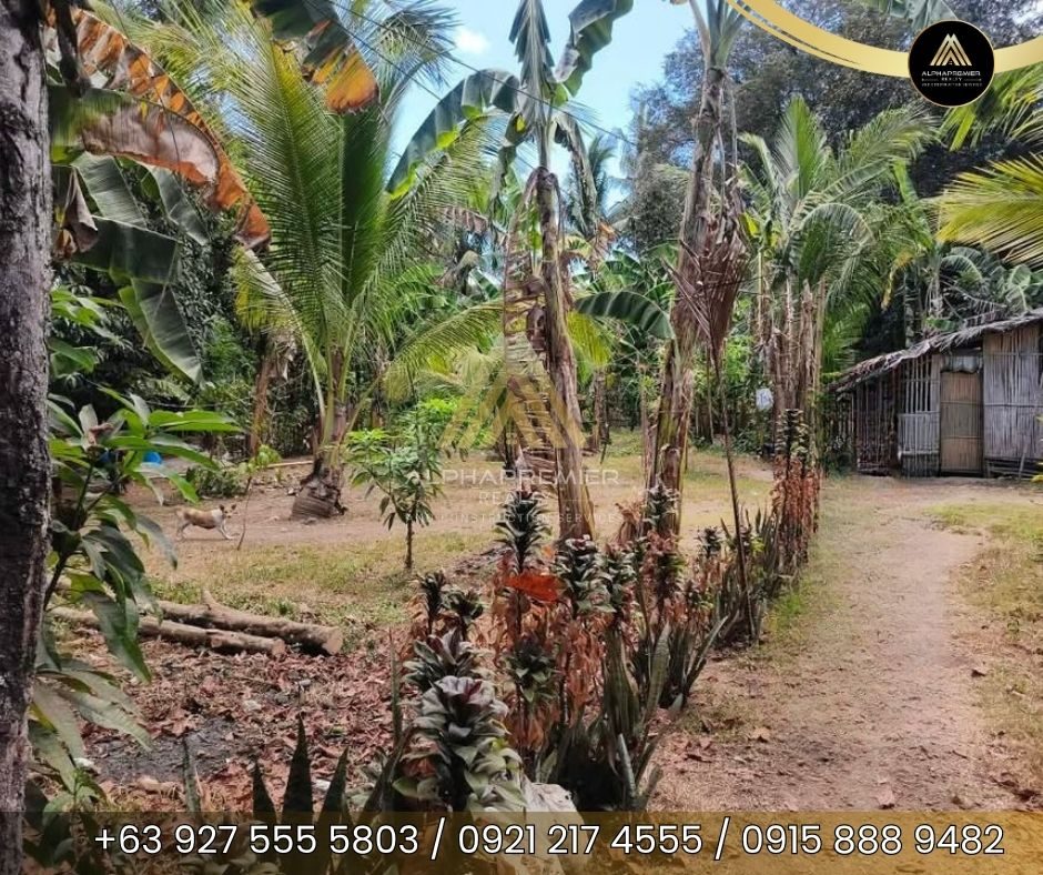 Lot for Sale in Laguna, photo 1
