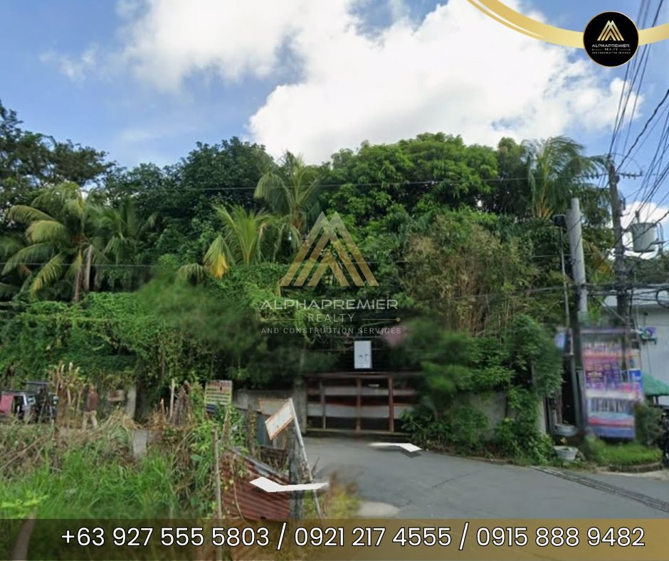 Lot for Sale in Laguna, photo 2