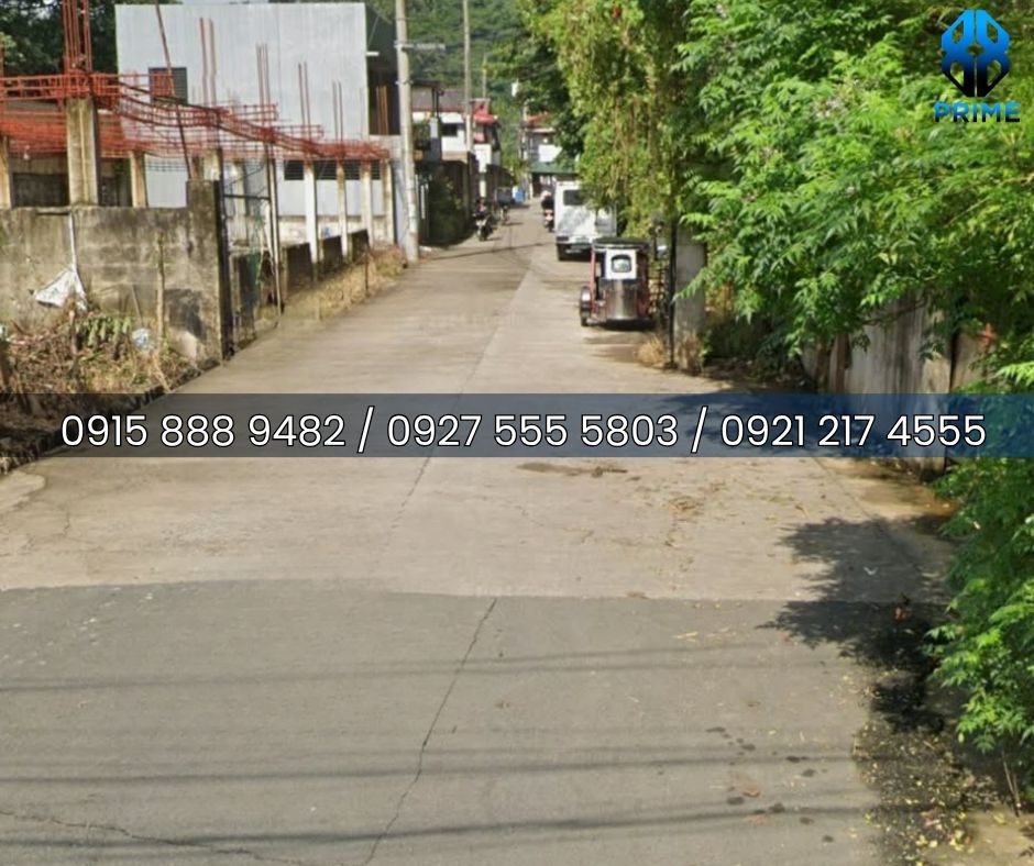 Lot for Sale in Laguna, photo 4