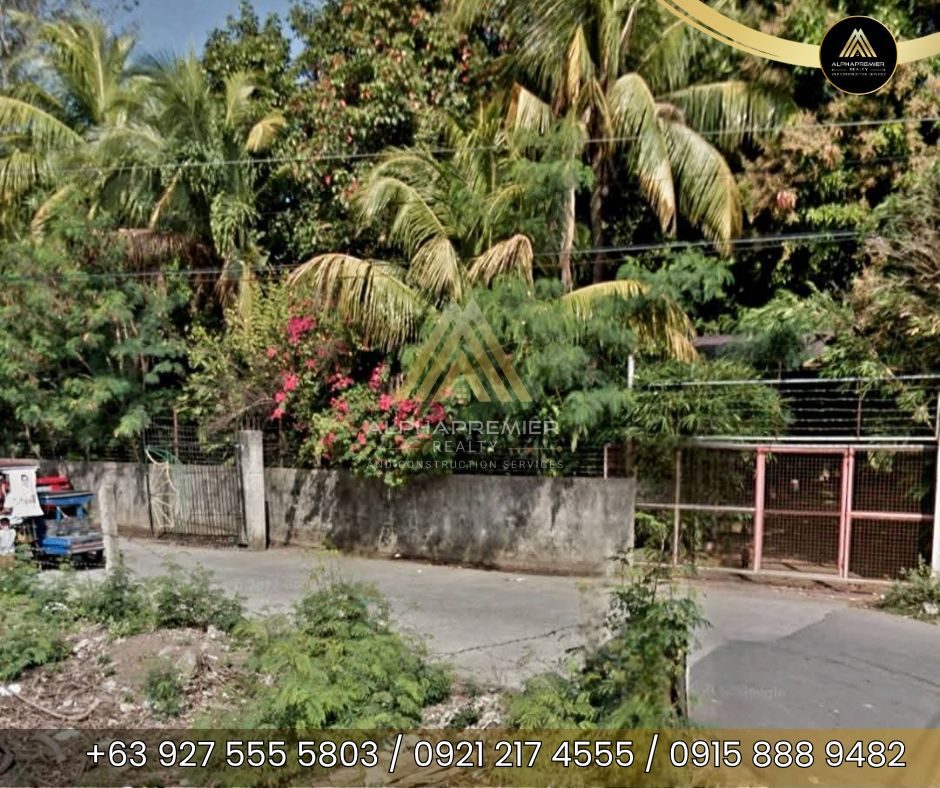 Lot for Sale in Laguna, photo 3