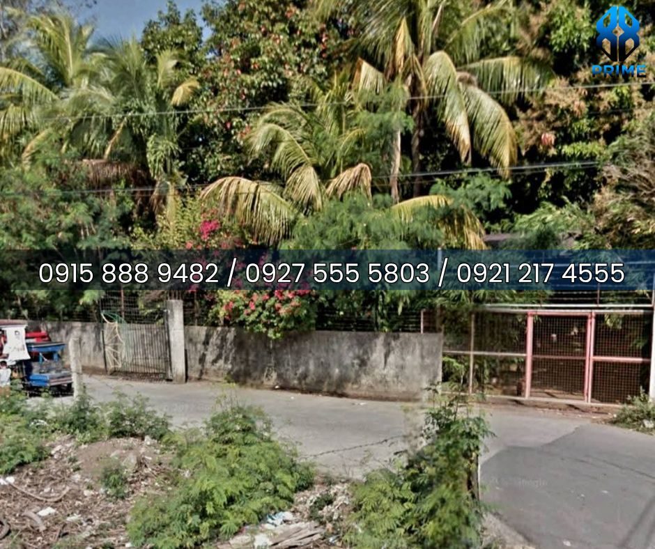 Lot for Sale in Laguna, photo 6