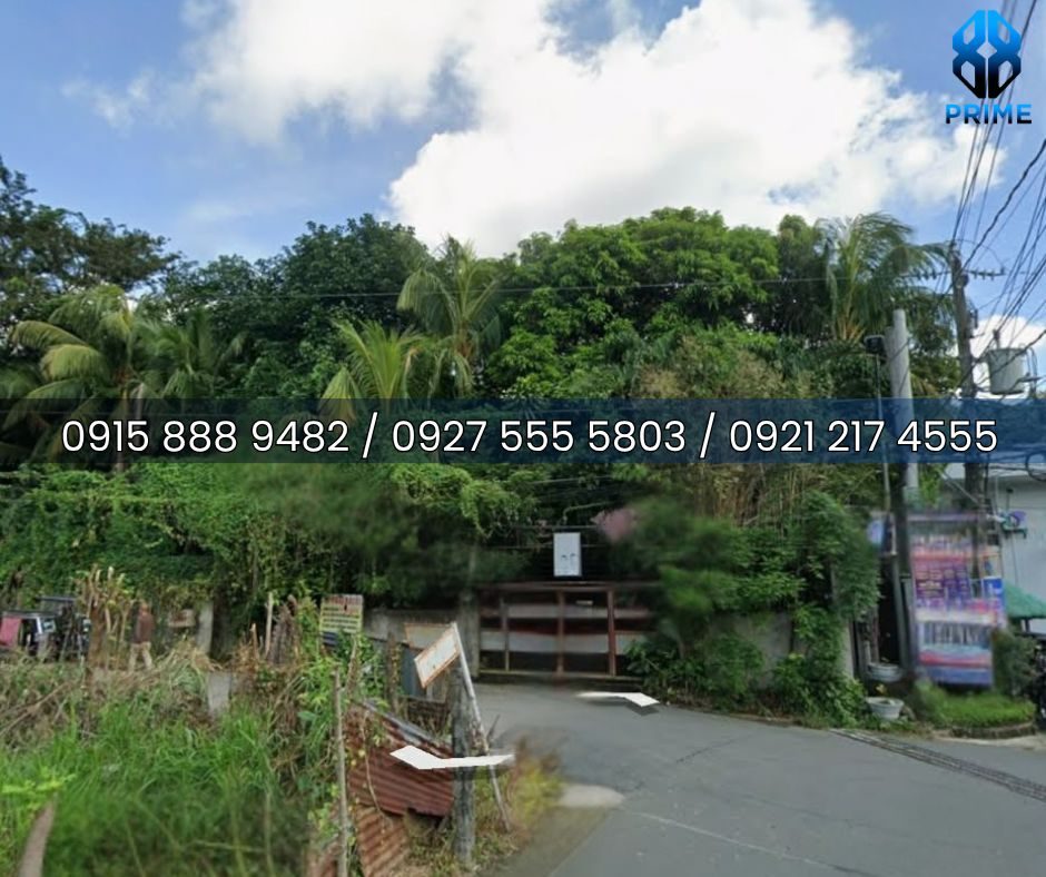 Lot for Sale in Laguna, photo 5