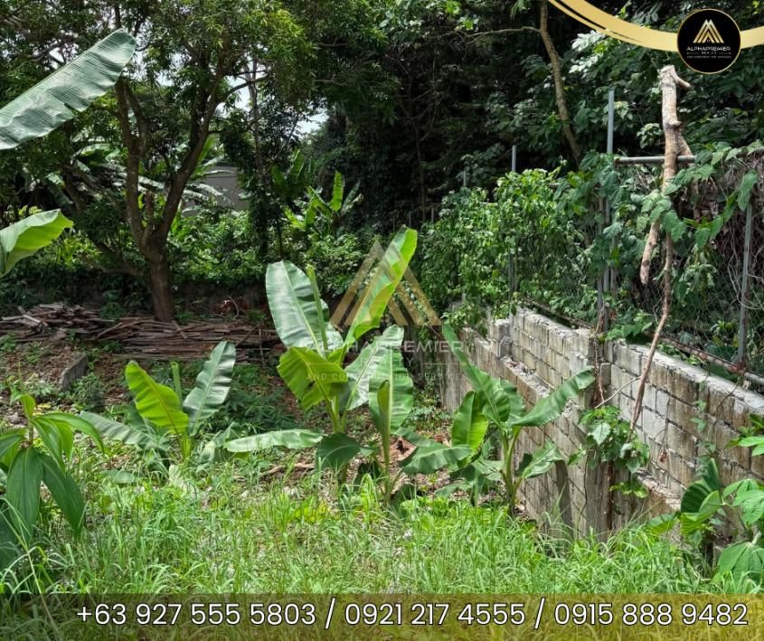 Lot for Lease in Tagaytay, photo 4
