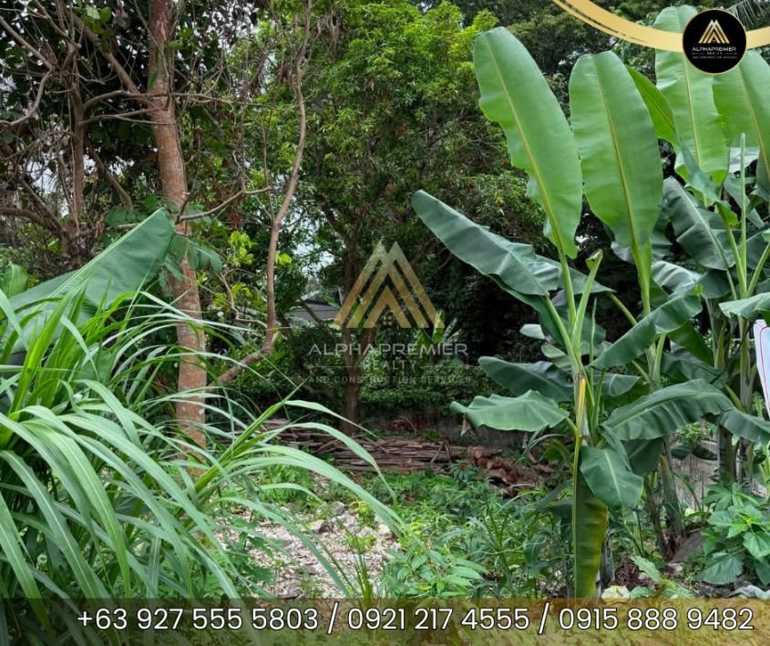 Lot for Lease in Tagaytay, photo 3