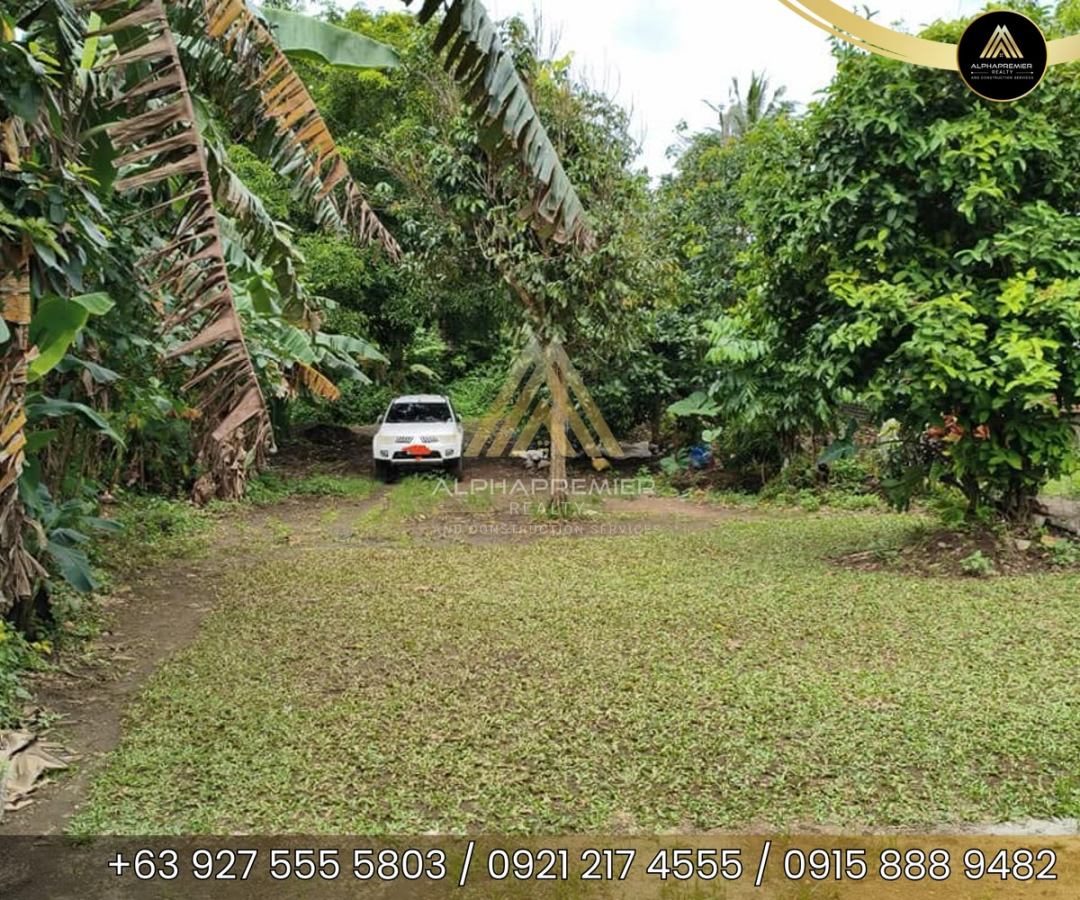 Lot for Lease in Cavite, photo 10