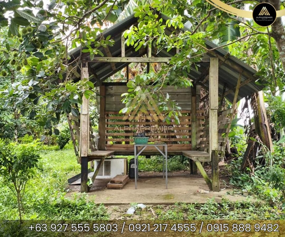 Lot for Lease in Cavite, photo 8