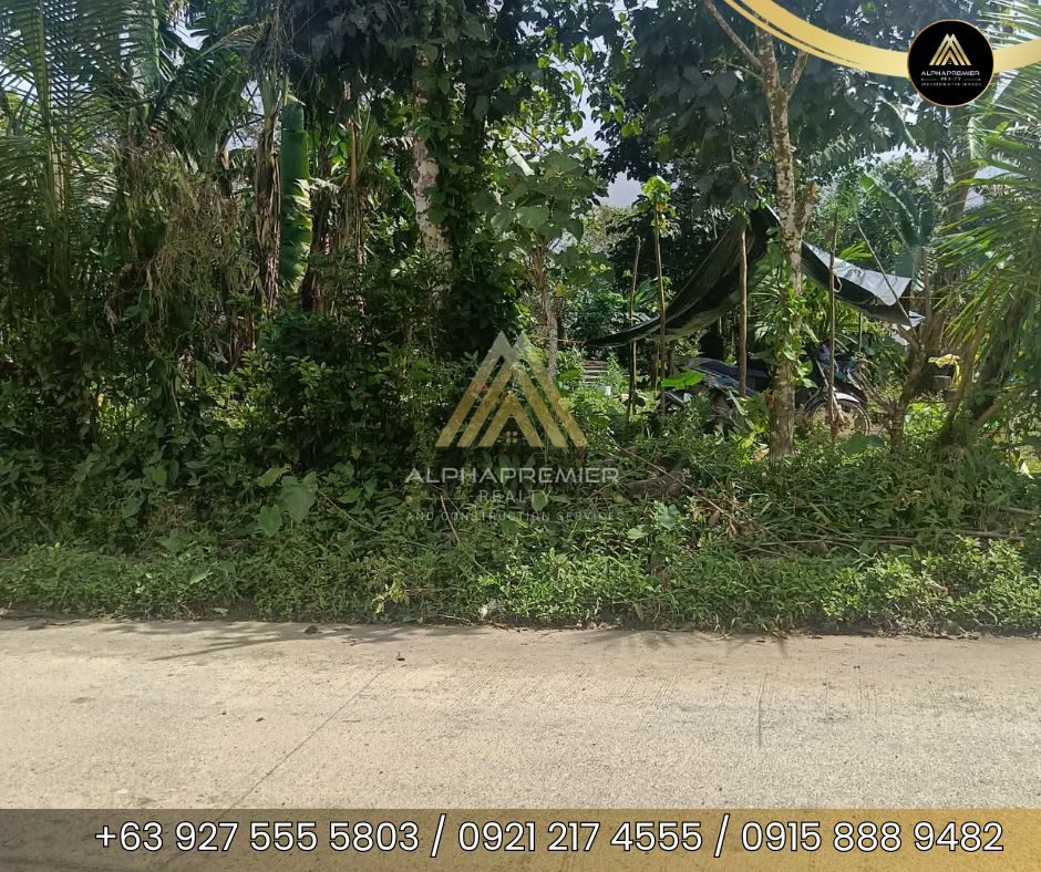 Lot for Sale in Laguna, photo 2