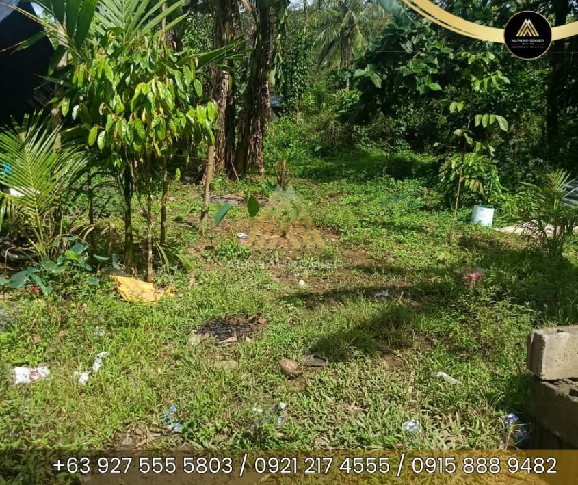 Lot for Sale in Laguna, photo 1